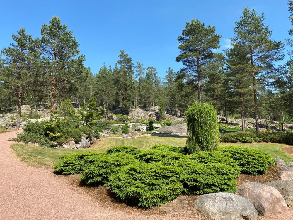 Rock garden