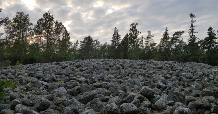 Kasnäs muinaisranta pirunpelto. Kasnäs devil's field ancient shoreline.