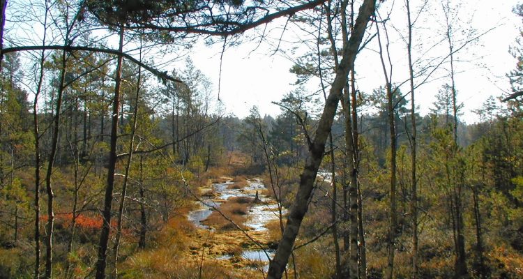 Paimio Hiking Trail banner