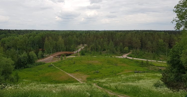 Paloheinä peak. Paloheinän huippu