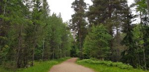 Paloheinä Haltiala nature trail. Paloheinän Haltialan luontopolku