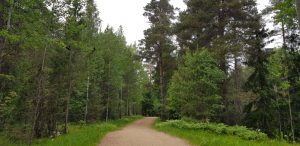 Paloheinä Haltiala nature trail. Paloheinän Haltialan luontopolku