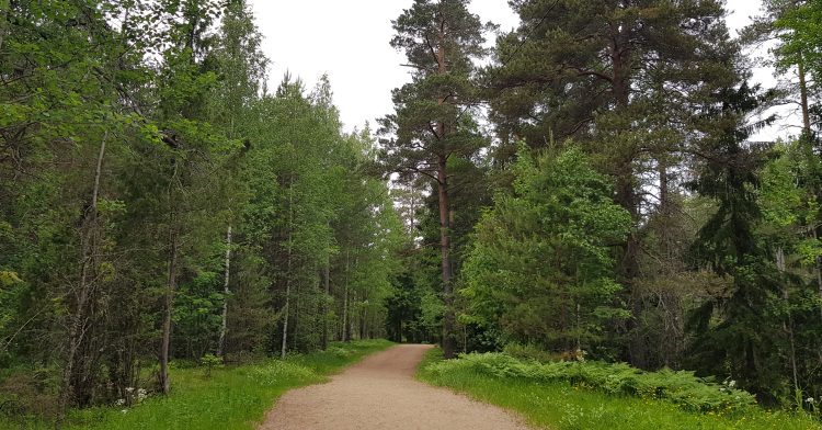 Paloheinä Haltiala nature trail. Paloheinän Haltialan luontopolku