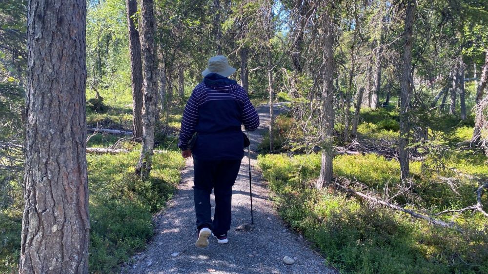 Beginning of Pyhäjoki nature trail