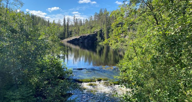 Pyhäjoki nature trail in Pallas