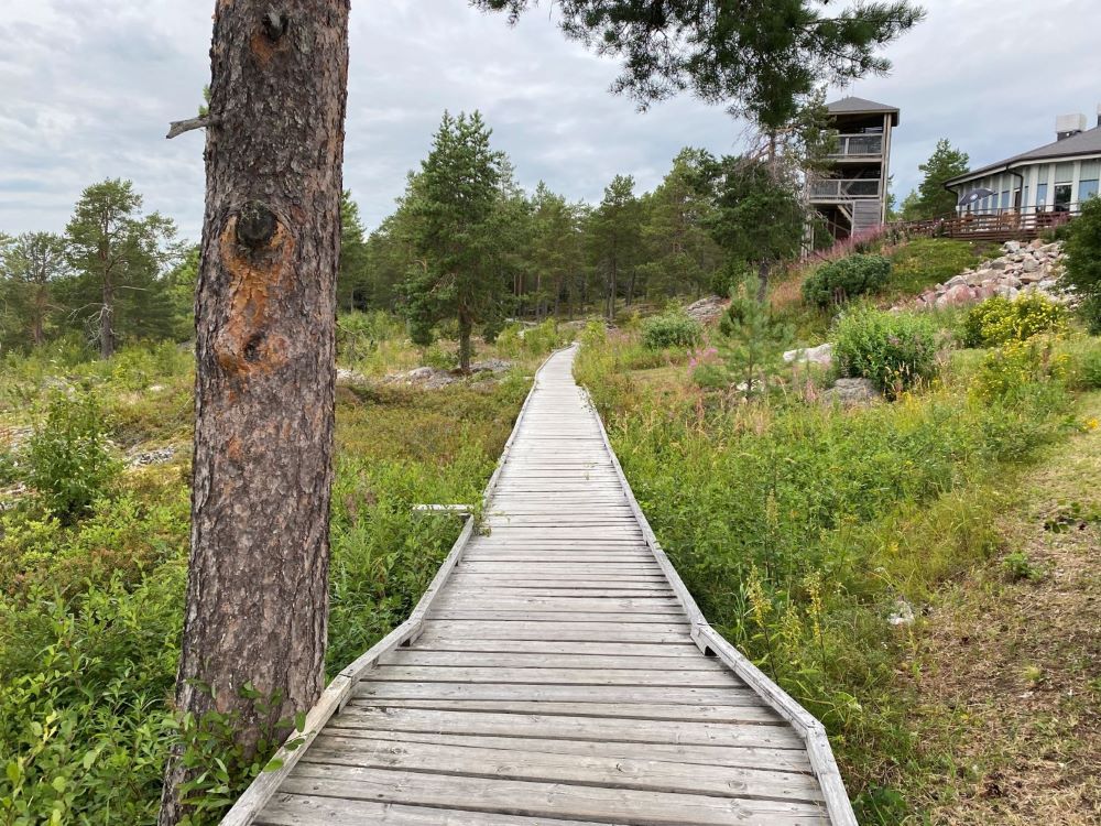 Sailor's trail birdwatching tower