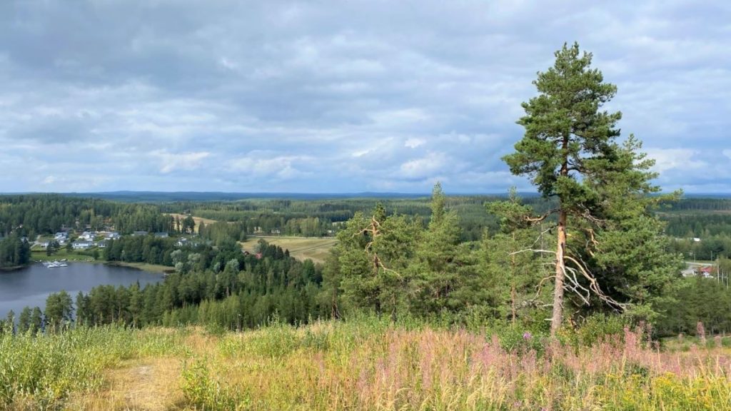 View from Savivuori hill at Viitasaari