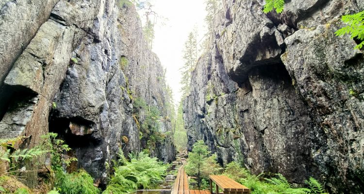 Orinoron rotko Leppävirta Mustinmäen kylä. Orinoro gorge at Leppävirta