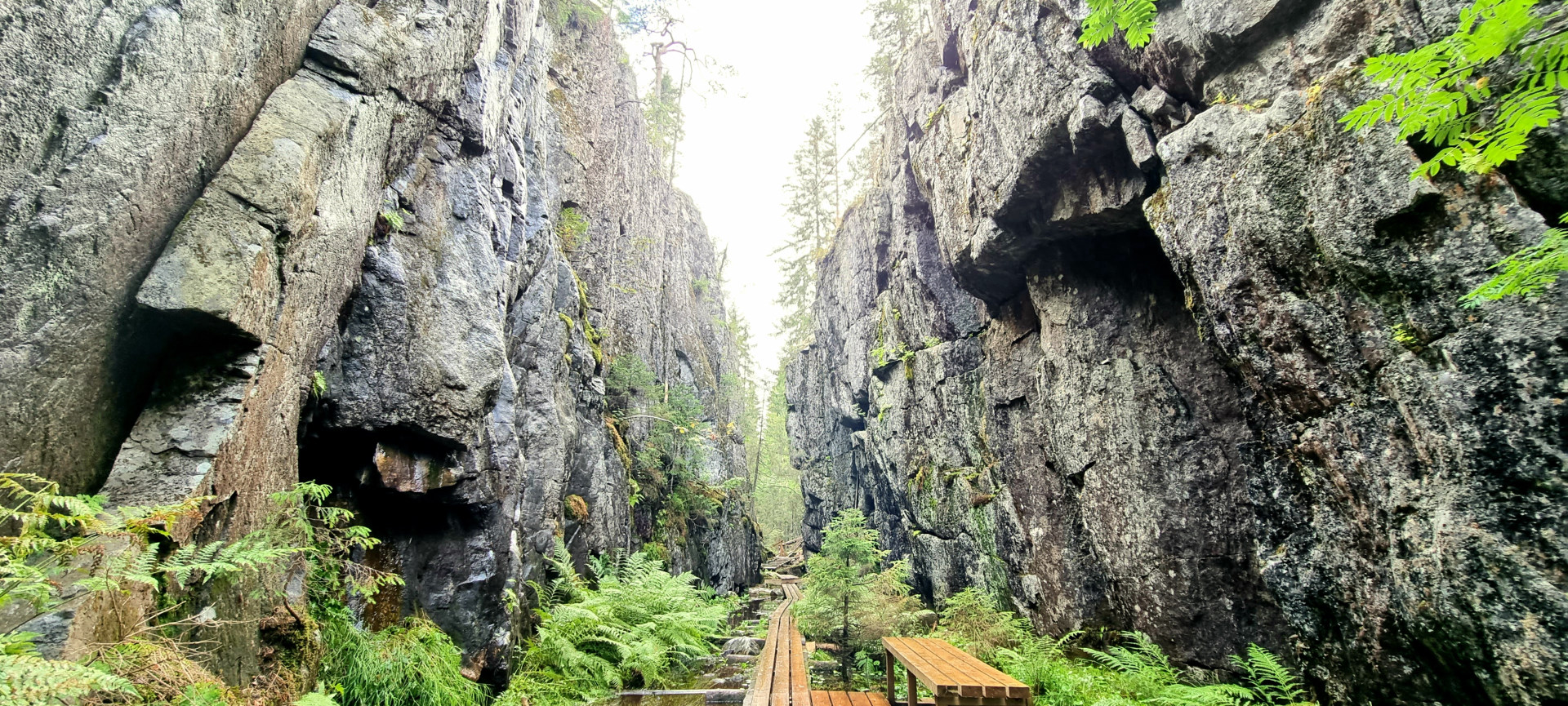 Orinoron rotko Leppävirta Mustinmäen kylä. Orinoro gorge at Leppävirta