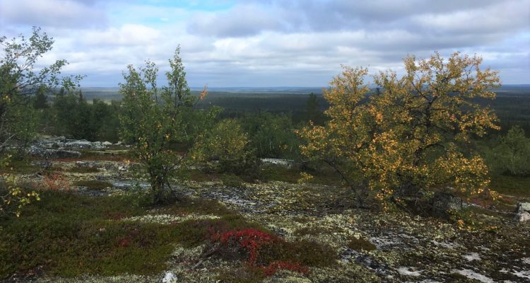 Wilderness areas in Finland