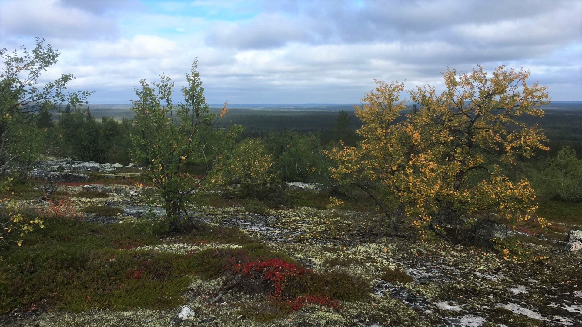 Wilderness areas in Finland