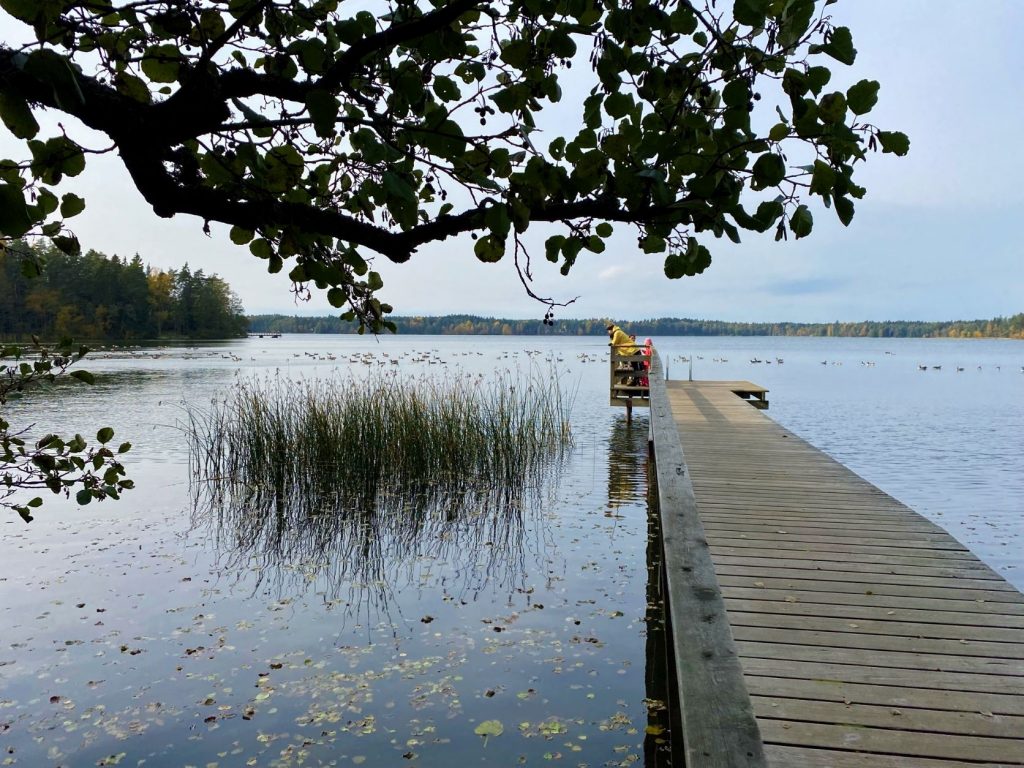 Fishing at Littoistenjärvi