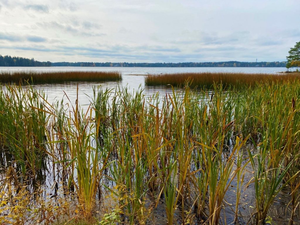 Littoistenjärvi