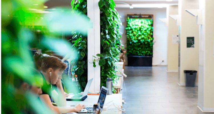 10 easy ways to bring more nature to the office