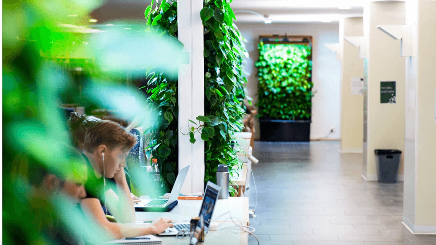 10 easy ways to bring more nature to the office