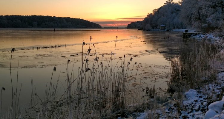 Finnish nature