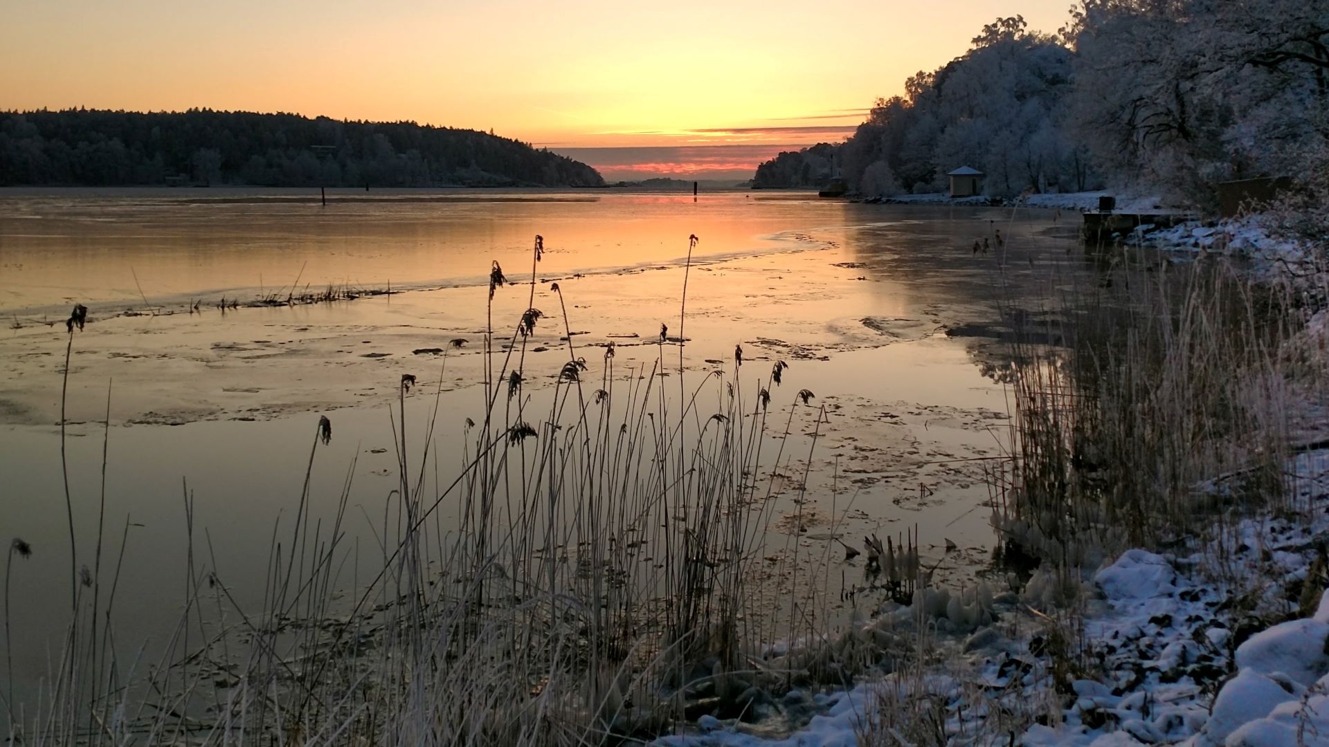 Finnish nature