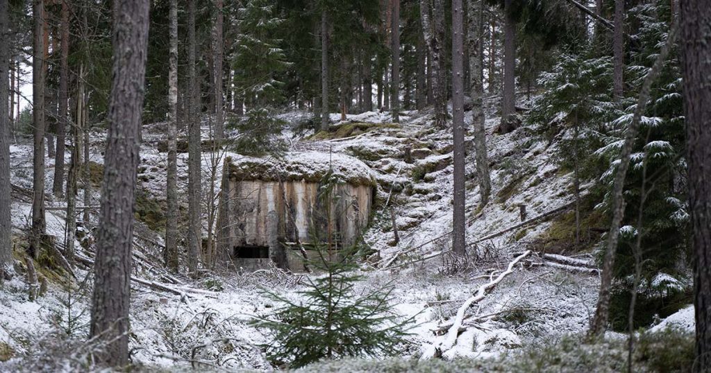 A bunker in the forest.