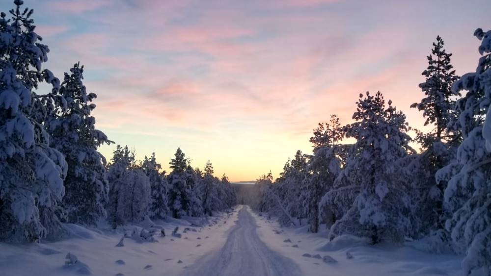 Winter road in Lapland