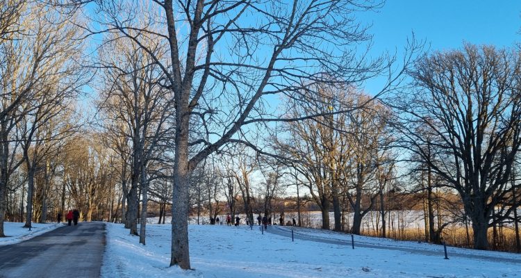 Vanhankylänniemi Tuusulanjärvi lake Annitädinkenttä