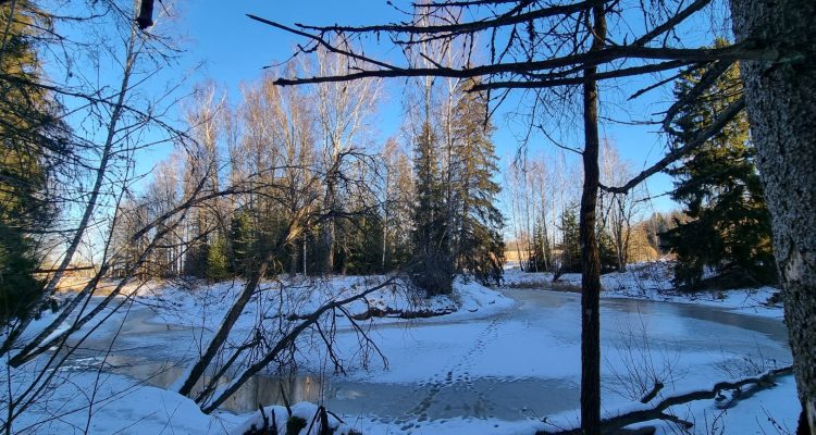 Haukkavuori Kerava luontopolku nature trail Keravanjoki