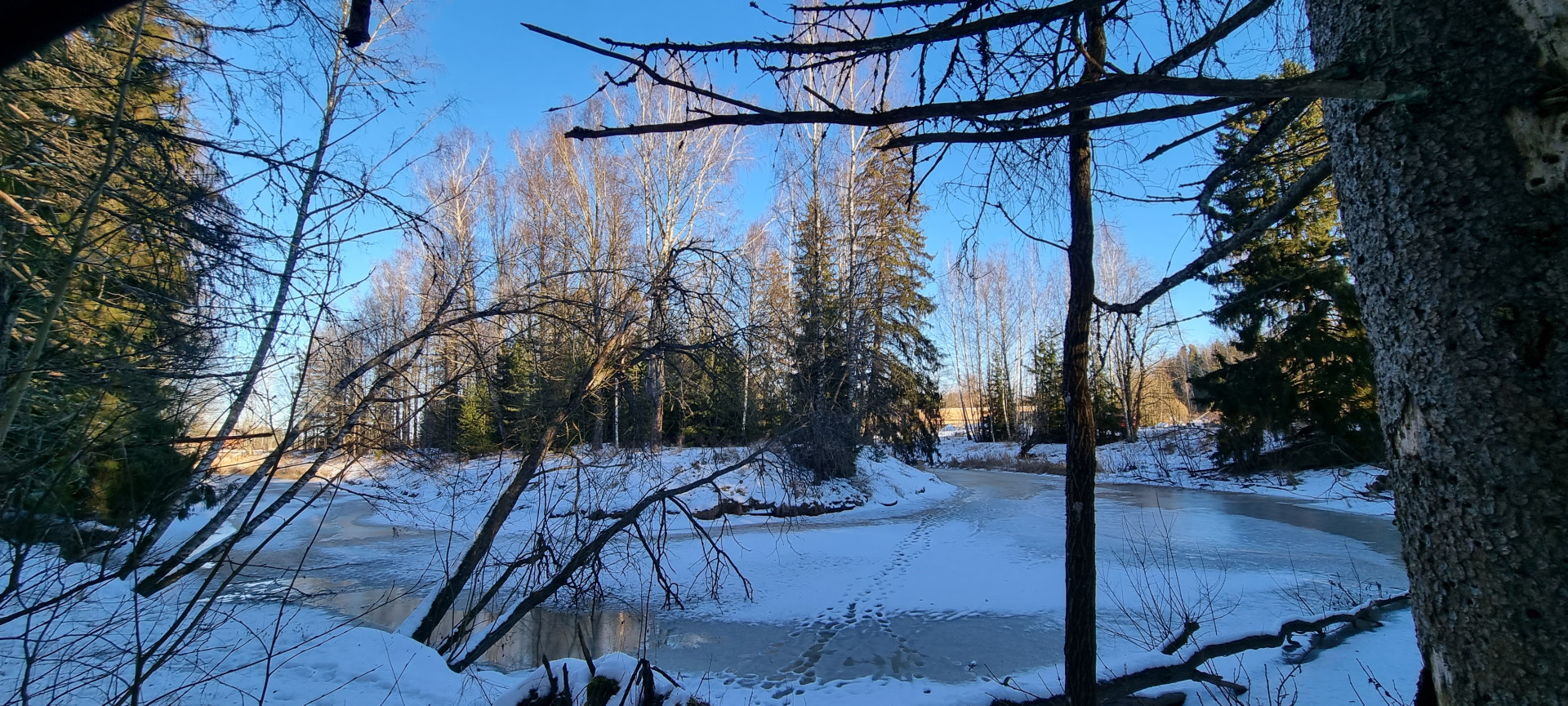 Snowshoeing in the Meiko wilderness - Out in the Nature