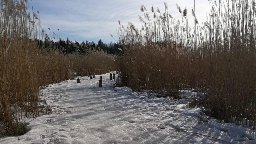 Rauvolanlahti nature trail