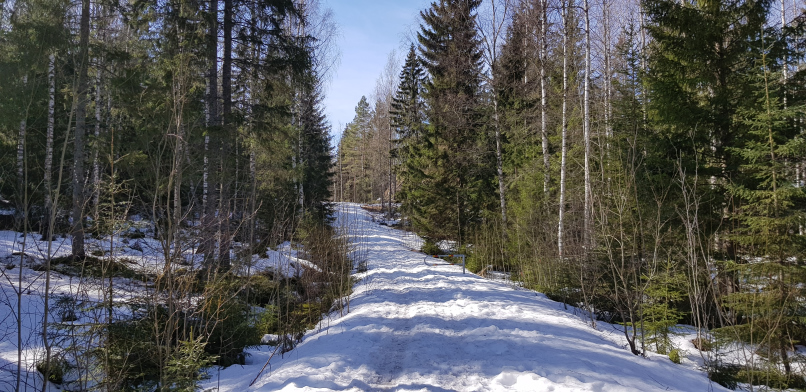Palakoski Mummusali path Vihti