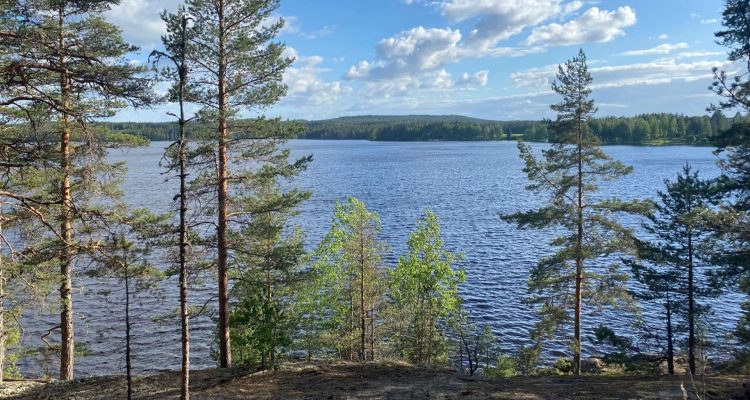 View over the lake at Nurminiemi