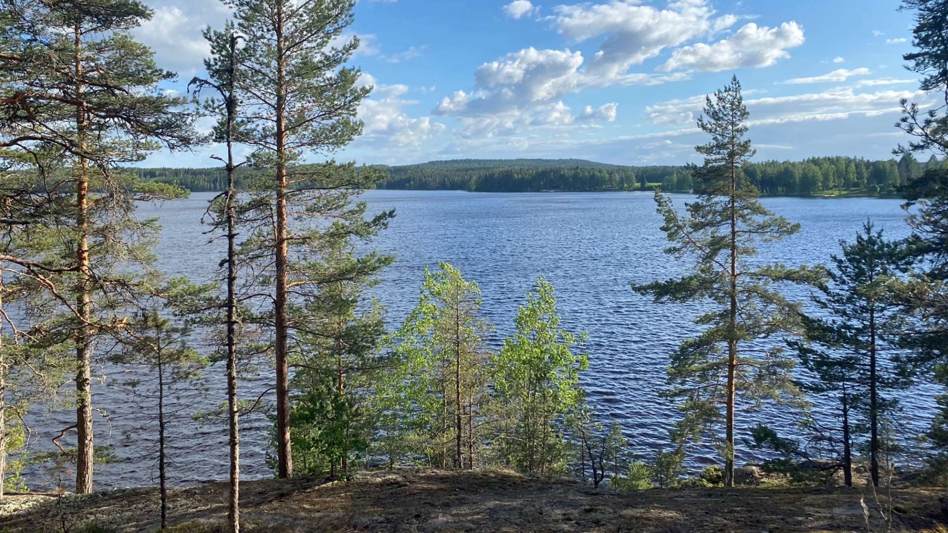 View over the lake at Nurminiemi