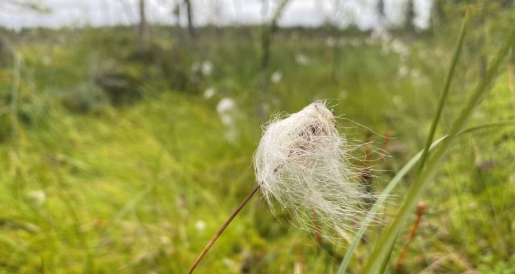 10 tips for eco-friendly nature travel in Finland