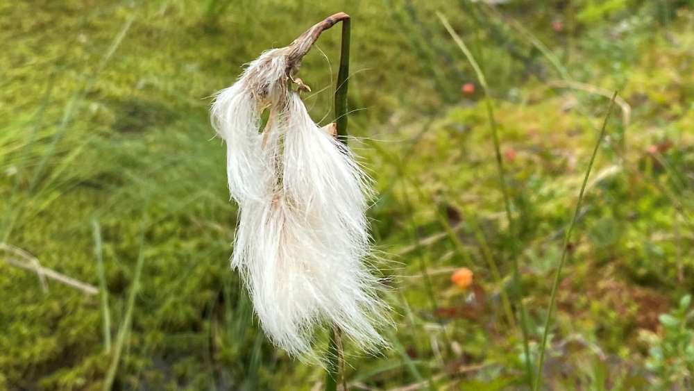 10 tips for eco-friendly nature travel in Finland