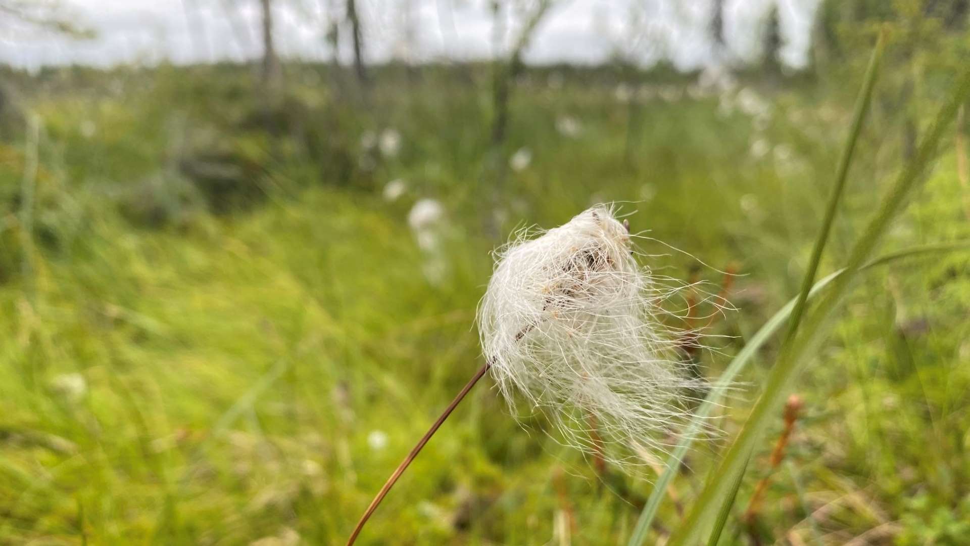 10 tips for eco-friendly nature travel in Finland