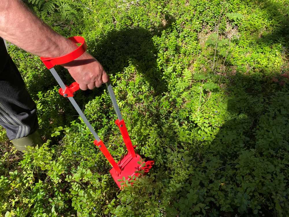 Berry picker