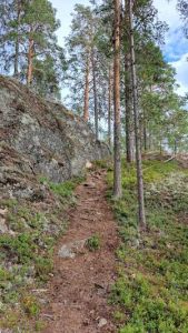 Uphill at Vilkaharju