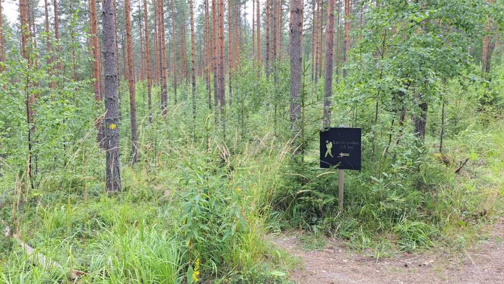 Vilkaharju nature trail