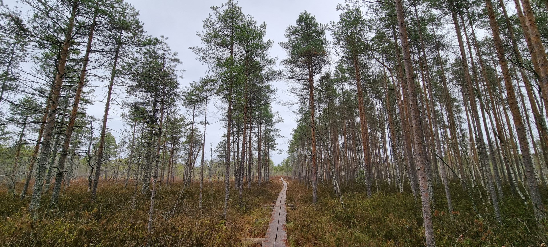 Jokikylän luontopolku Uittomiehen lenkki nature path
