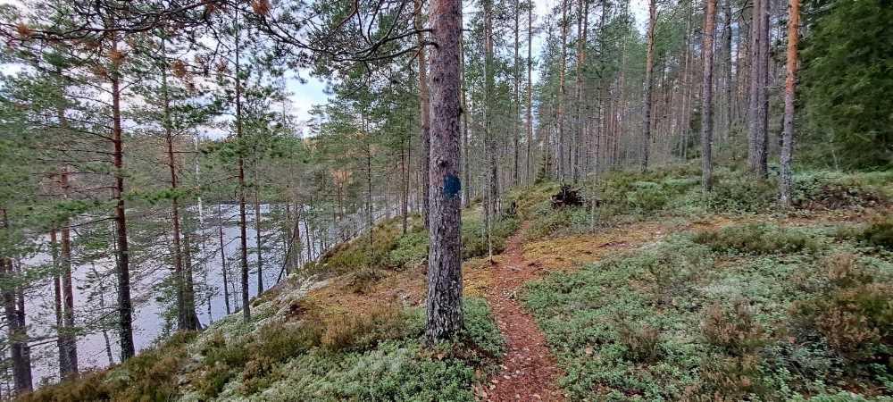 Nature trail