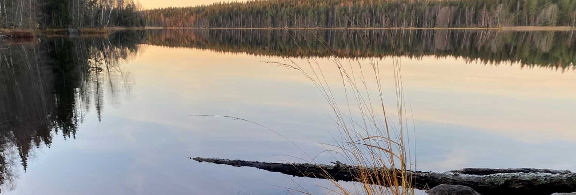 Hyypiö trail in Liesjärvi National Park
