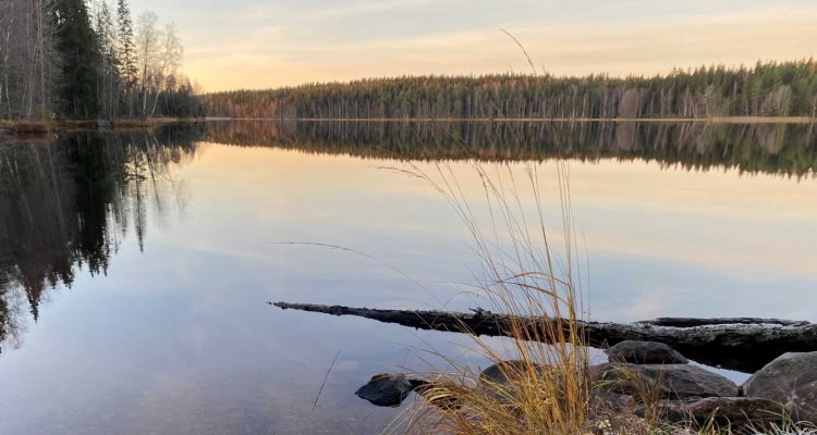 Hyypiö trail in Liesjärvi National Park