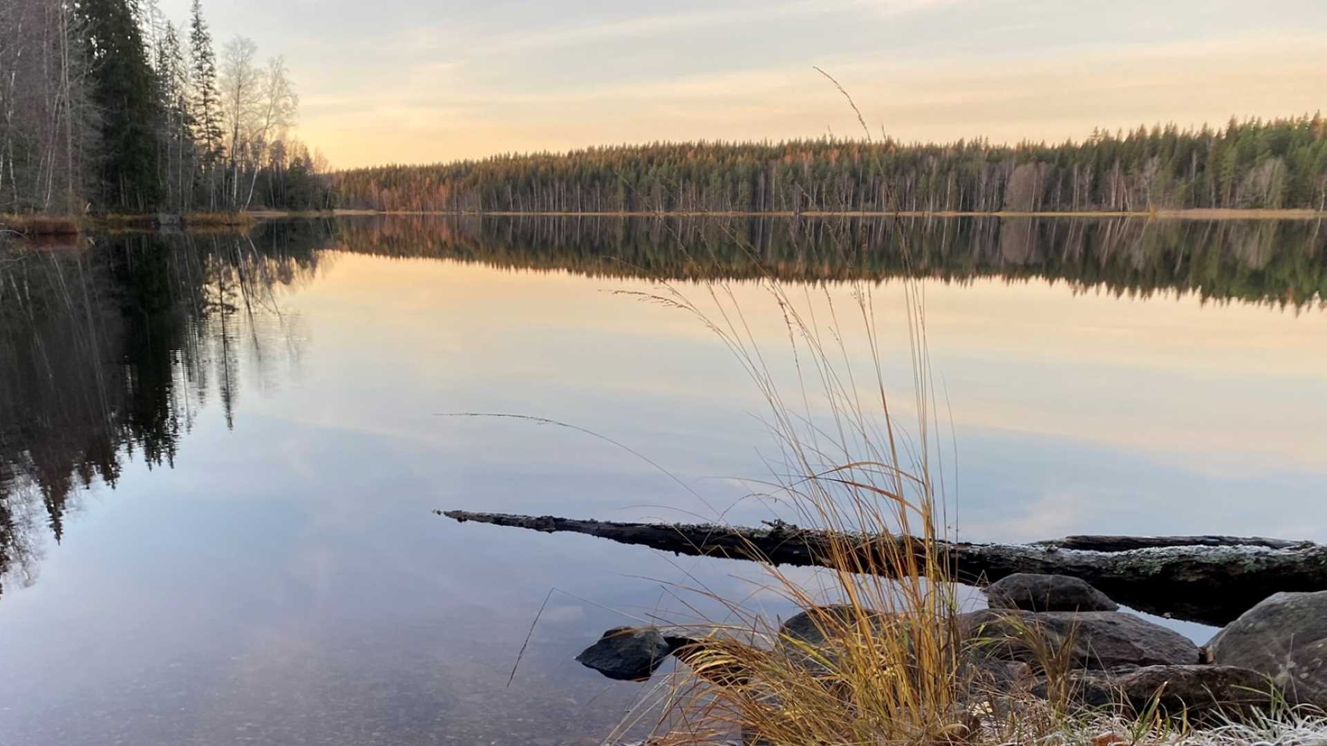 Hyypiö trail in Liesjärvi National Park