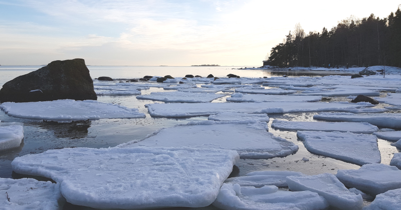 Drift ice, ice floe