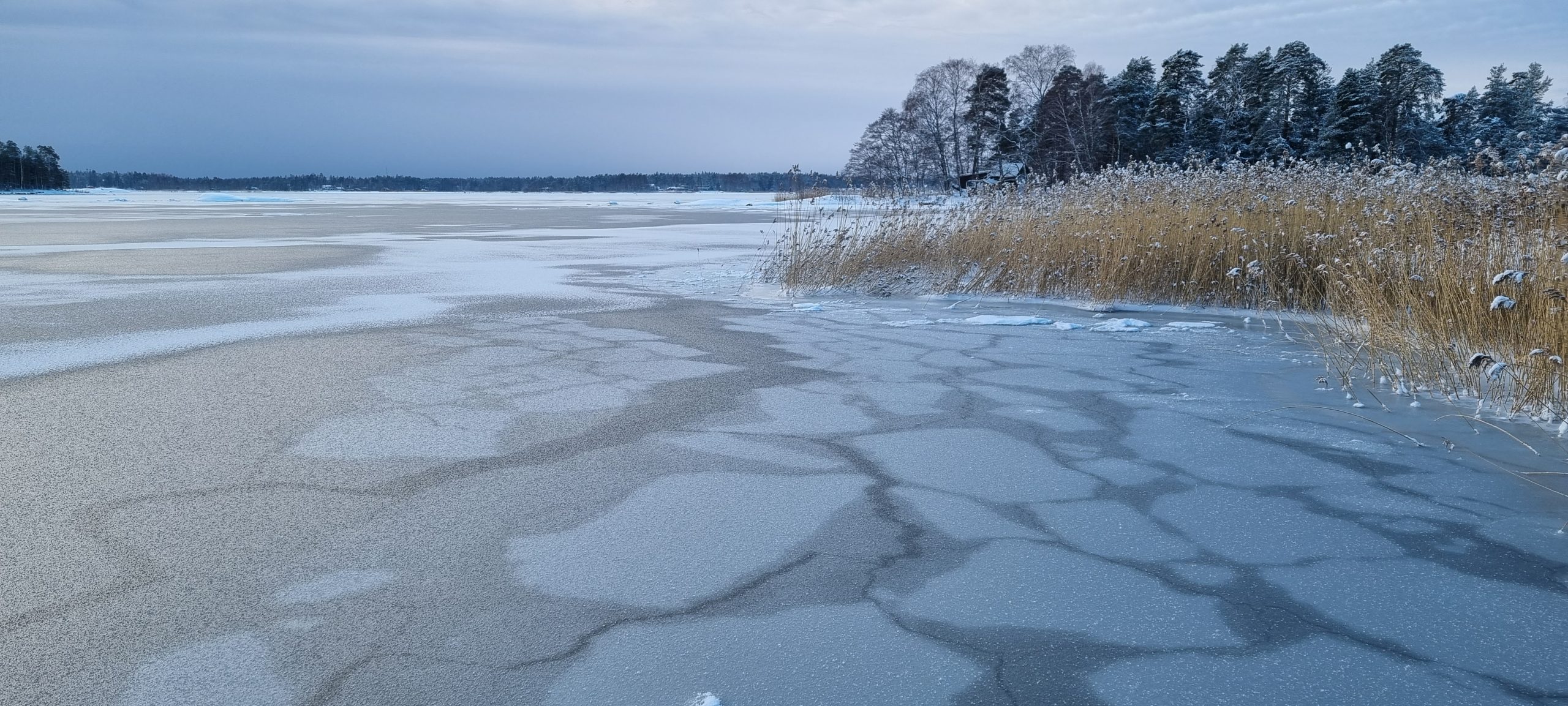 Grease ice, jääriite