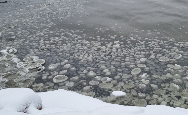 pancake ice lautasjää