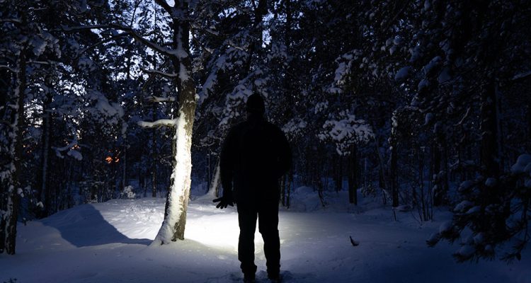 Person in a dark forest lit by a headlamp.