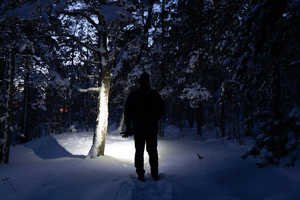 Person in a dark forest lit by a headlamp.