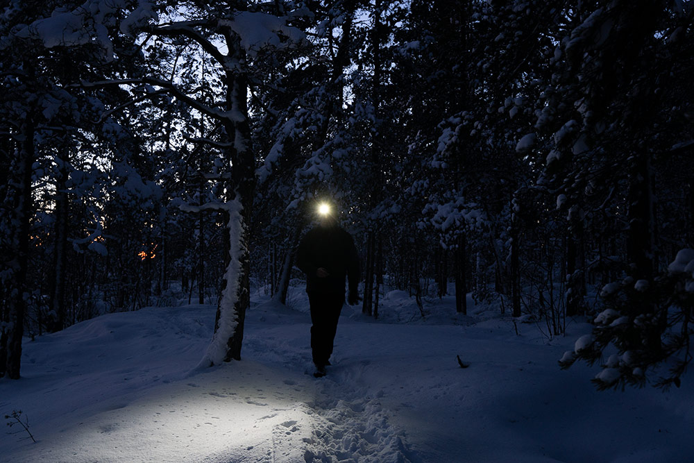 Person in a dark forest lit by the headlamp.