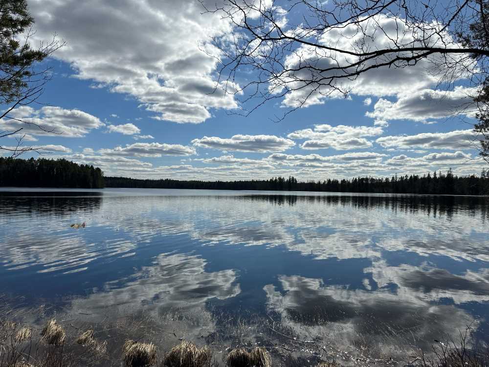 Liesjärvi lake