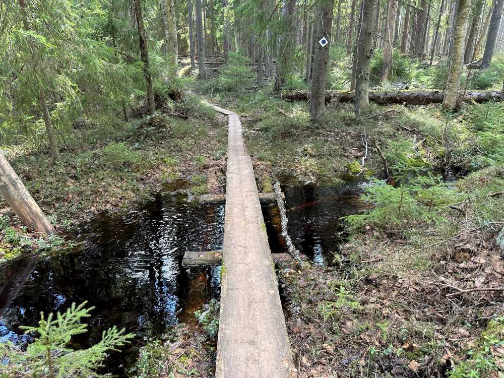 Pohjantikan polku Pohjantikka trail at Liesjärvi National Park