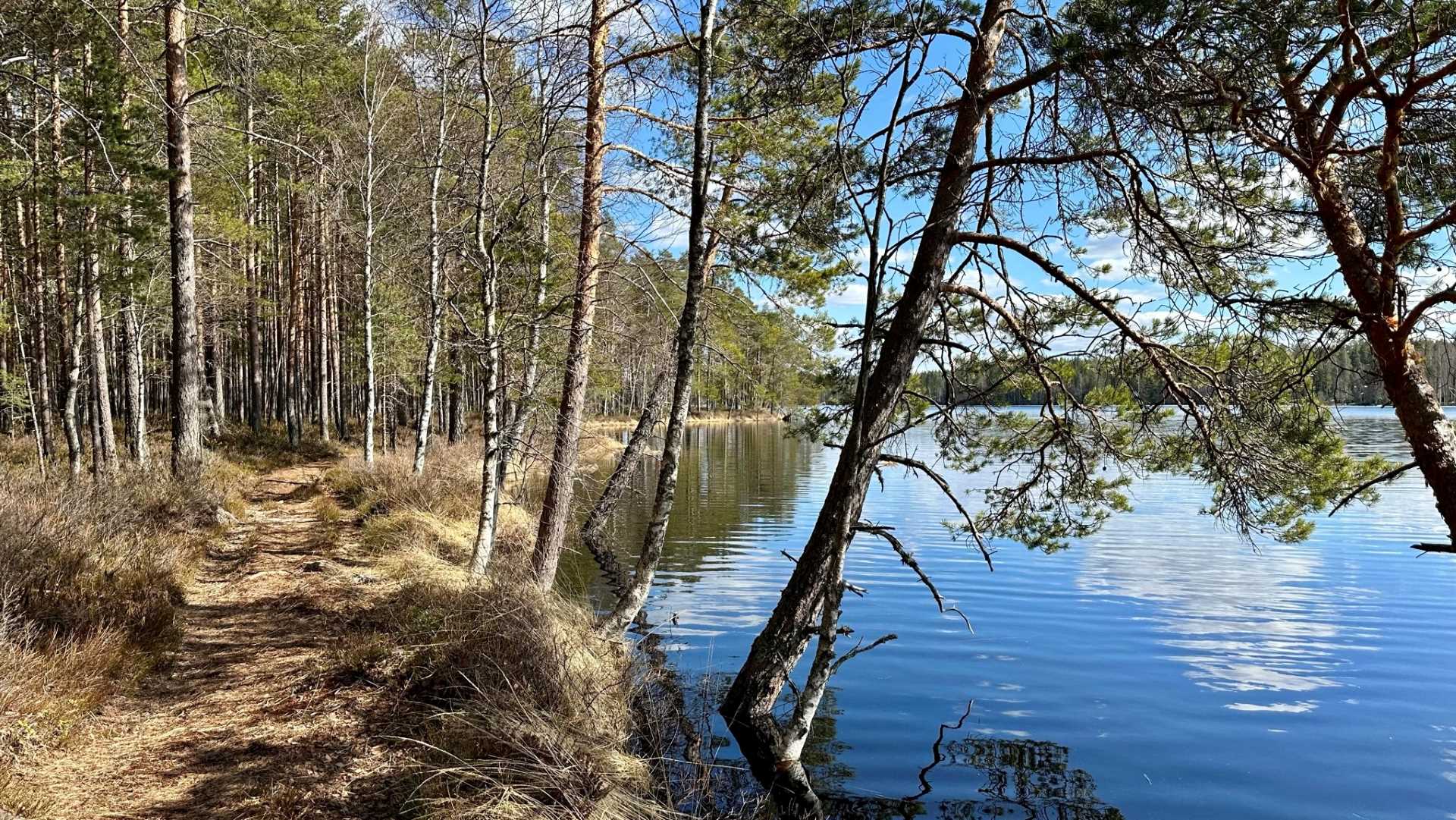 Punatulkku and Pohjantikka trails at Liesjärvi National Park